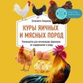 Куры яичных и мясных пород. Руководство для начинающих фермеров по содержанию и уходу