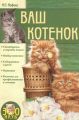 Ваш котенок