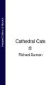 Cathedral Cats
