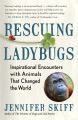 Rescuing Ladybugs