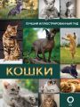 Кошки