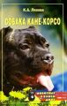 Собака Кане-Корсо Собака Кане-Корсо