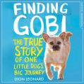 Finding Gobi