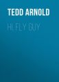 Hi, Fly Guy