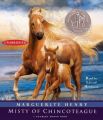 Misty of Chincoteague