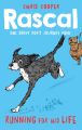 Rascal: Running For His Life