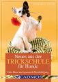 Neues aus der Trickschule fur Hunde