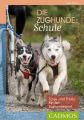 Die Zughunde-Schule