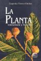 La planta: estructura y funcion