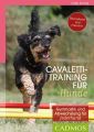 Cavalettitraining fur Hunde