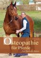 Osteopathie fur Pferde