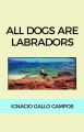 All dogs are Labradors