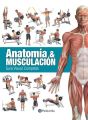 Anatomia & musculacion