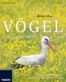 Vogel fotografieren