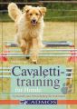 Cavalettitraining fur Hunde