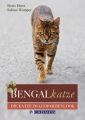 Bengalkatze