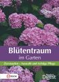Blutentraum im Garten