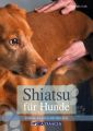 Shiatsu fur Hunde