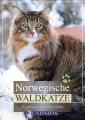 Norwegische Waldkatze