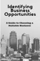 Identifying Business Opportunities