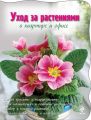 Уход за растениями в квартире и офисе