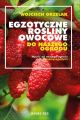 Egzotyczne rosliny owocowe do naszego ogrodu