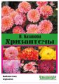 Хризантемы