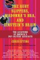 The Ruby Slippers, Madonna's Bra, and Einstein's Brain