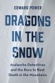 Dragons in the Snow