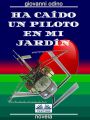 Ha Caido Un Piloto En Mi Jardin