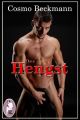 Der Hengst (Erotik)