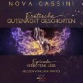 Verbotene Liebe - Erotische Gutenacht Geschichten, Band 5 (ungekurzt)