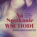 Na spotkanie Wschodu - Intymne wyznania kobiety 6 - opowiadanie erotyczne