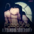 Pozadanie - opowiadanie erotyczne