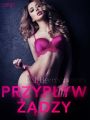 Przyplyw zadzy - opowiadanie erotyczne