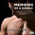 Memoirs of a Gigolo