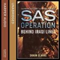 Behind Iraqi Lines