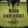 Moon Underfoot