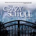 Crazy School