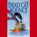 Dead Cat Bounce
