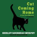 Cat Coming Home