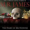 Diary of Mr Poynter