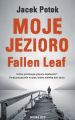 Moje Jezioro Fallen Leaf