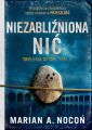 Niezablizniona nic