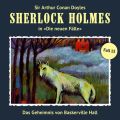 Sherlock Holmes, Die neuen Falle, Fall 15: Das Geheimnis von Baskerville Hall