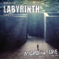Mord in Serie, Folge 24: Labyrinth