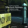 Sherlock Holmes, Folge 7: Wisteria Lodge