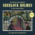 Sherlock Holmes, Die neuen Falle, Fall 29: Im Labyrinth des Wahnsinns