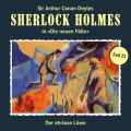 Sherlock Holmes, Die neuen Falle, Fall 21: Der ehrlose Lowe