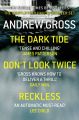 Andrew Gross 3-Book Thriller Collection 1: The Dark Tide, Don’t Look Twice, Relentless